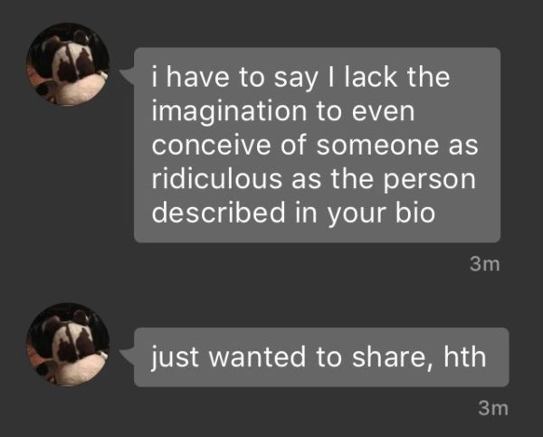Image reads "I have to say I lack the imagination to even conceive of someone as ridiculous as the person described in your bio"